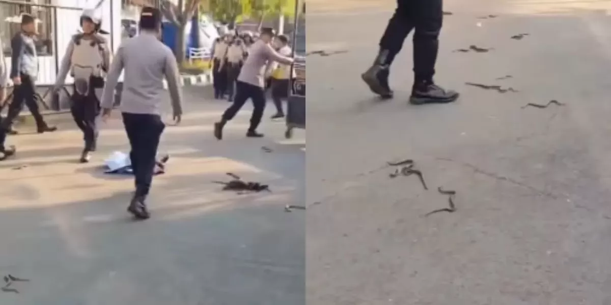 Tak Bisa Temui Lucky Hakim, Demonstran Ngamuk Lempar Puluhan Ular ke Pendopo