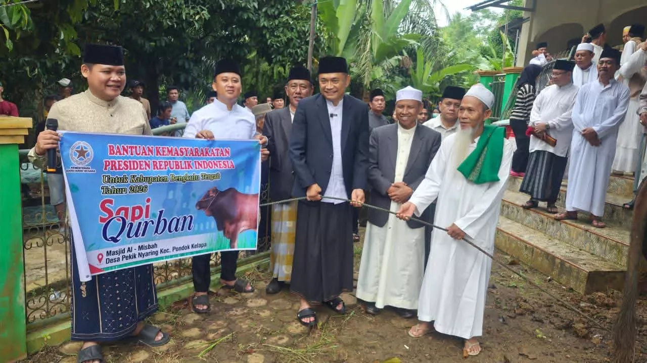“Makna Terdalam Idul Adha”: Bupati Bengkulu Tengah Serahkan Sapi Kurban Presiden di Tengah Lautan Jamaah