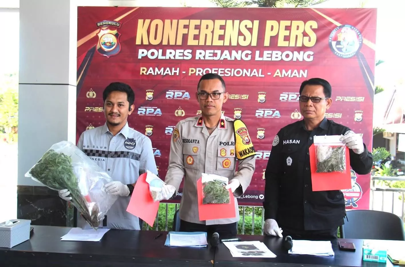 Polres Rejang Lebong Bongkar Ladang Ganja Rumahan, Ratusan Batang Disita dari Rumah Warga Curup Utara