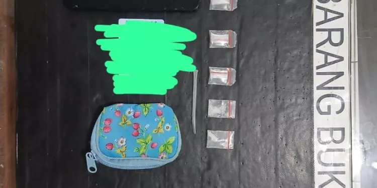 Digerebek Tengah Malam! Buruh Harian di Curup Diciduk, 5 Paket Sabu Diamankan Ditresnarkoba Polda Bengkulu