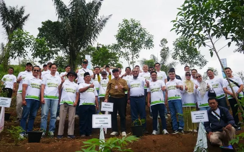 PLN Indonesia Power Tanam 3.000 Pohon di Kawasan PLTA Musi, Perkuat Lingkungan dan Ekonomi Warga Rejang Lebong