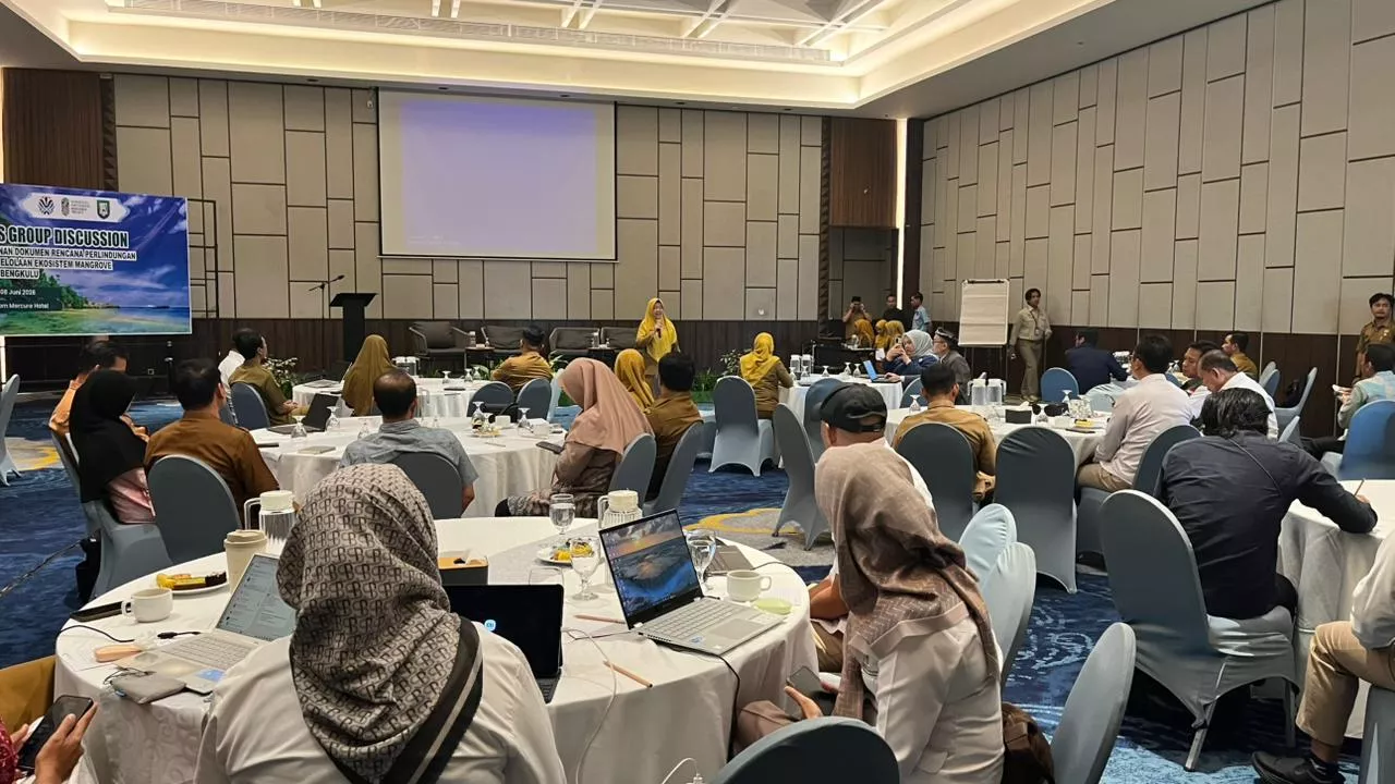 Mangrove Bengkulu Terancam? Pemprov Bergerak Susun Peta Besar Perlindungan 30 Tahun ke Depan