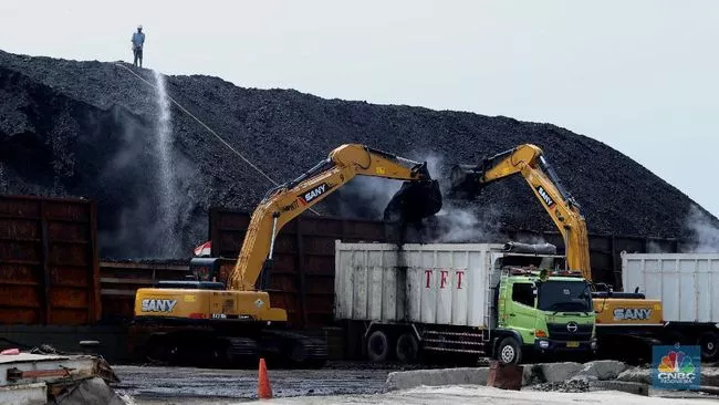 Transit Bongkar Muat Batu Bara, Laut Bengkulu Terdampak? 