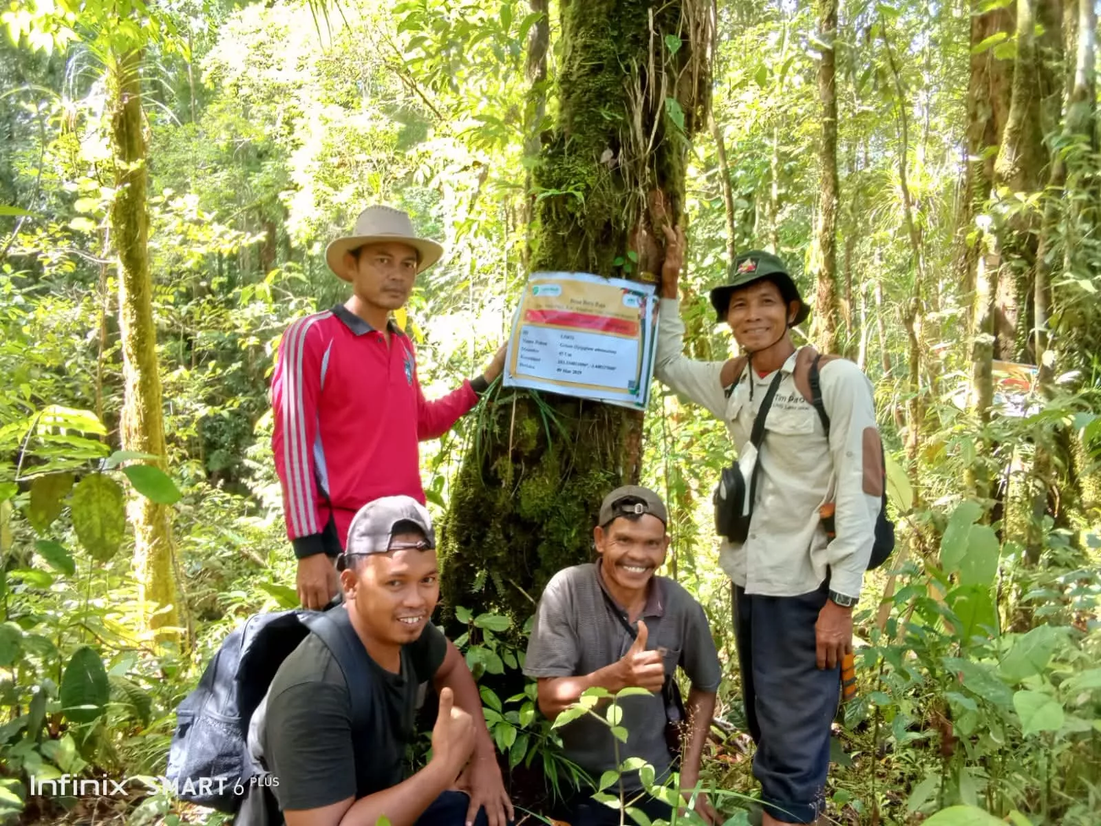 Lawan Krisis Ekologi, Gubernur Helmi Hasan Turun Langsung Jadi Orang Tua Asuh Pohon Purba di Bengkulu