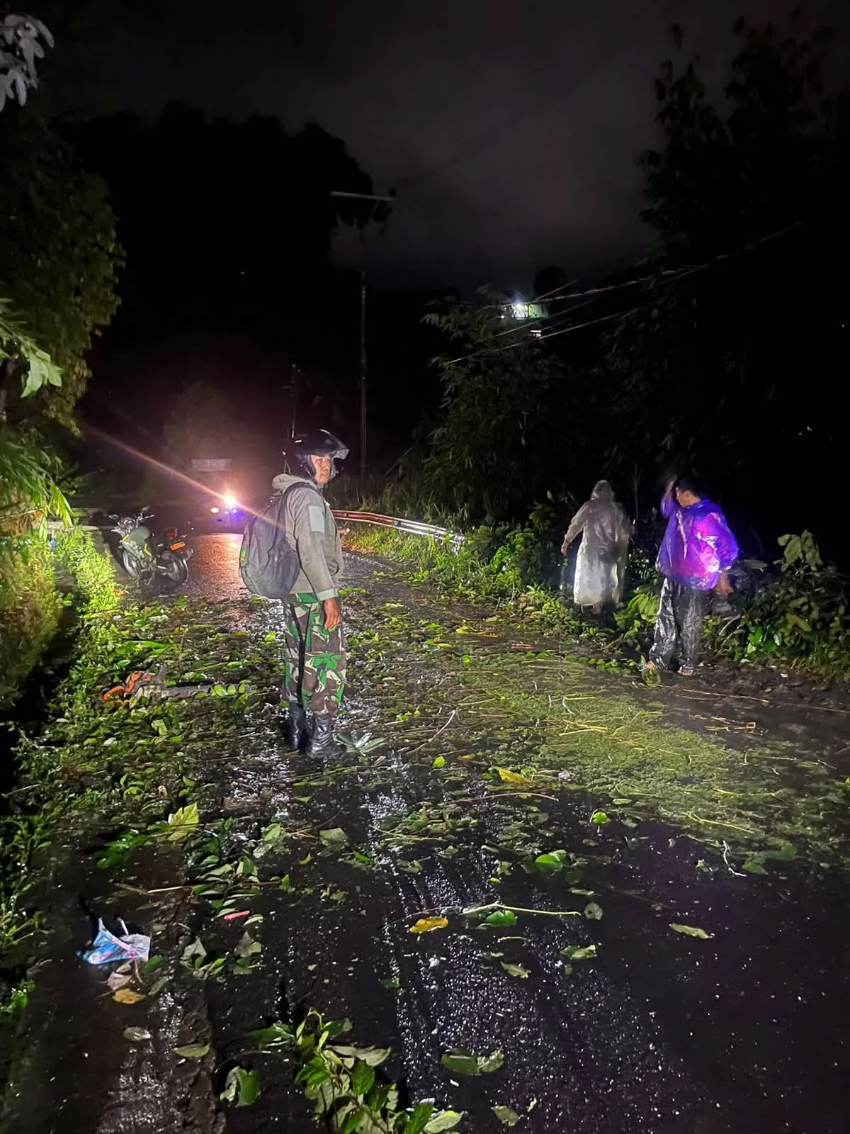 Awal Tahun, Pohon Tumbang di Kepahiang