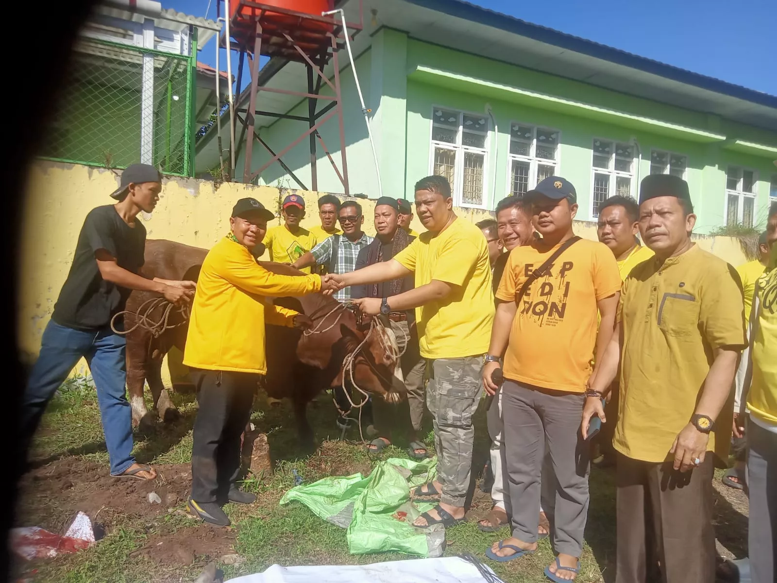 Golkar Bengkulu Tebar Kurban Iduladha, Sapi Bantuan Bahlil Lahadalia Ikut Dibagikan ke Warga