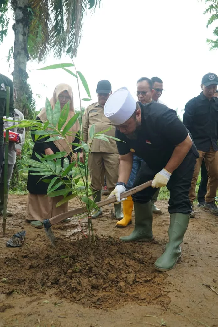Gubernur Helmi Hasan Turun Langsung! Bengkulu Didorong Jadi Wilayah Konservasi Hutan