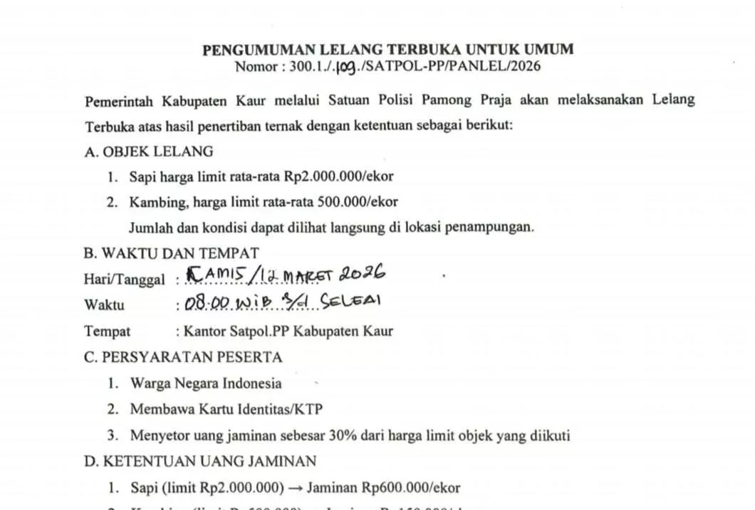 Satpol PP Kaur Buka Lelang Ternak Hasil Penertiban, Masyarakat Bisa Ikut