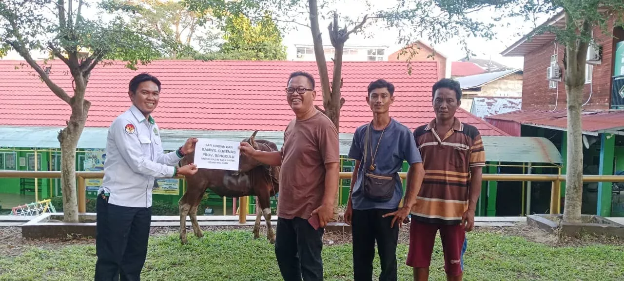 Kanwil Kemenag Bengkulu Tebar 17 Hewan Kurban, Masjid Raya dan Masjid Jamik Kebagian Sapi
