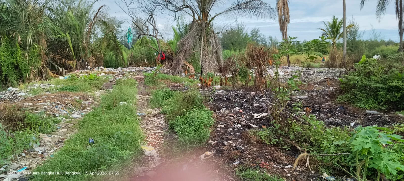 Diduga TPS Liar di Rawa Makmur Permai Dikeluhkan Warga, Satpol PP Kota Bengkulu Turun Tangan