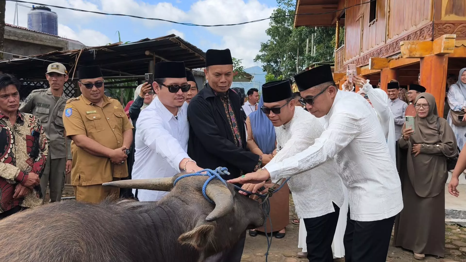 Jelang Terima Gelar Adat, Bupati Sumbang Satu Ekor Kerbau