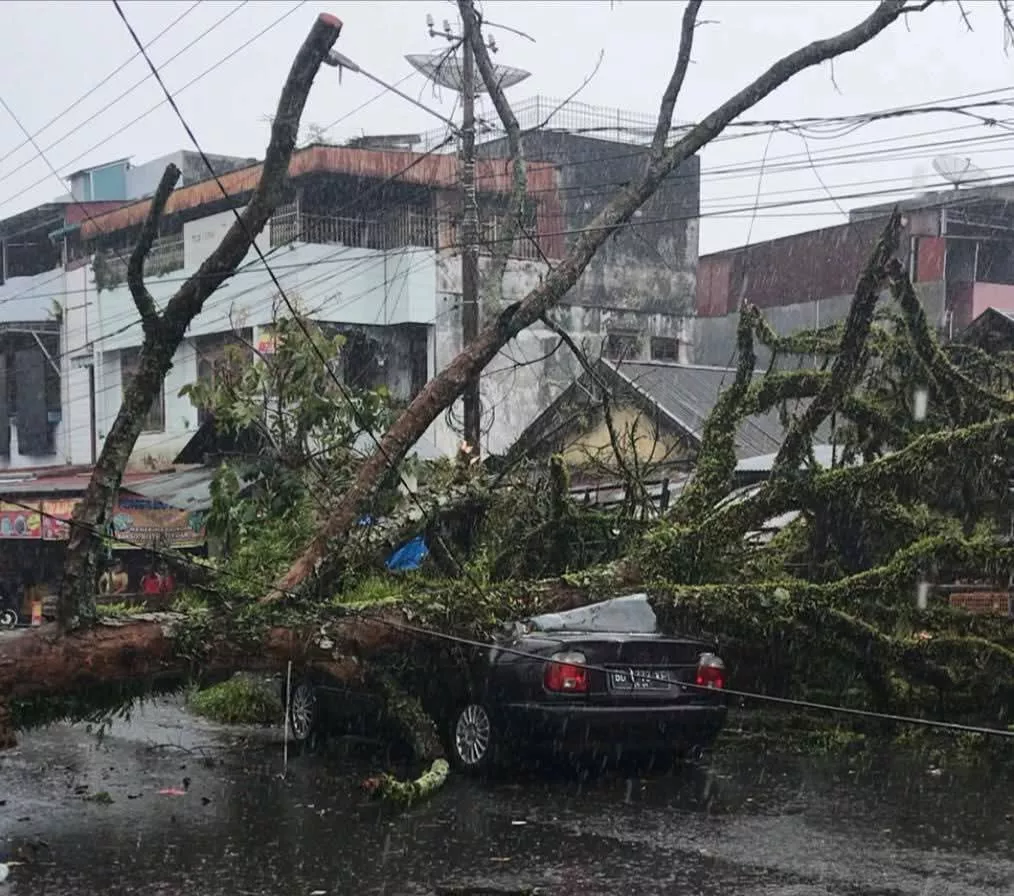 Hujan Disertai Angin Kencang, Pohon Tumbang Timpa Mobil di Pasar Atas Curup