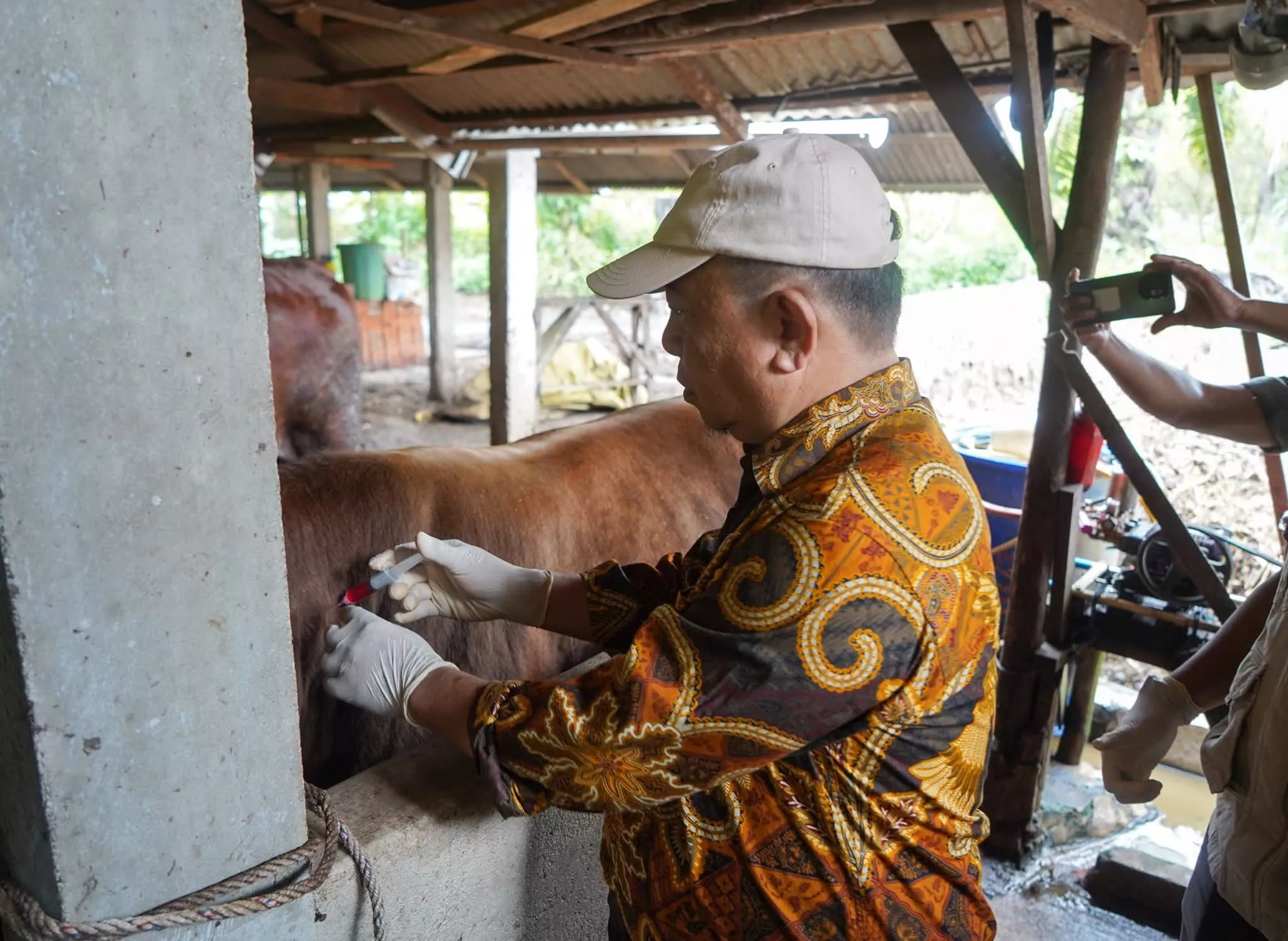 Wabup Minta Dokter Hewan Aktif Cek Kesehatan Ternak Demi di Seluma