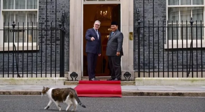 Kembali ke Downing Street, Presiden Prabowo “Disambut” Larry the Cat