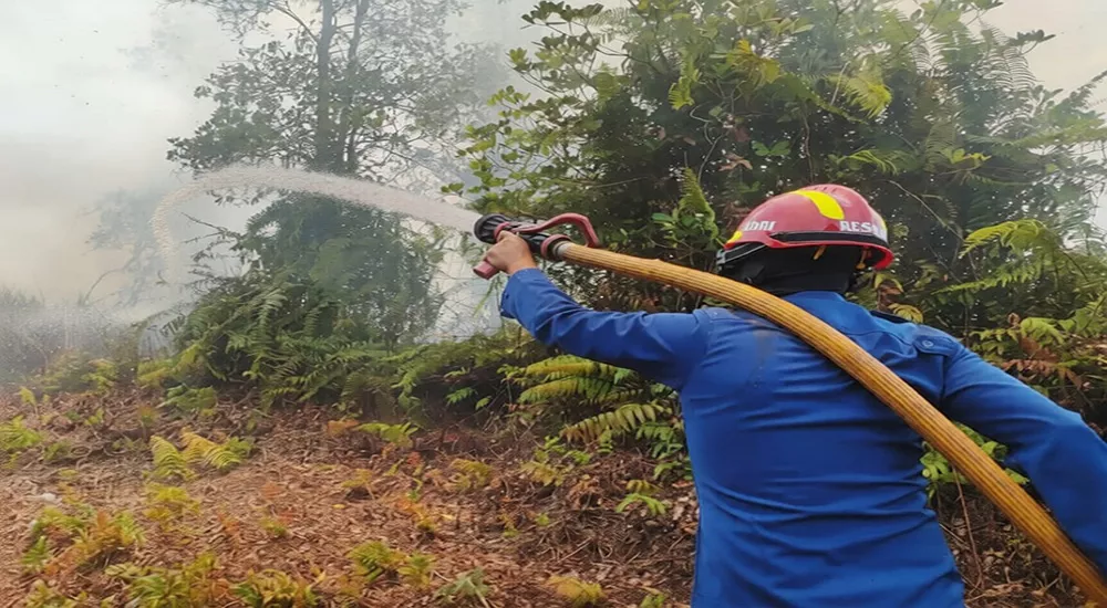 Diduga Lalai Hingga Lahan Membara di Baamang Hulu, Api Nyaris Dekati Permukiman