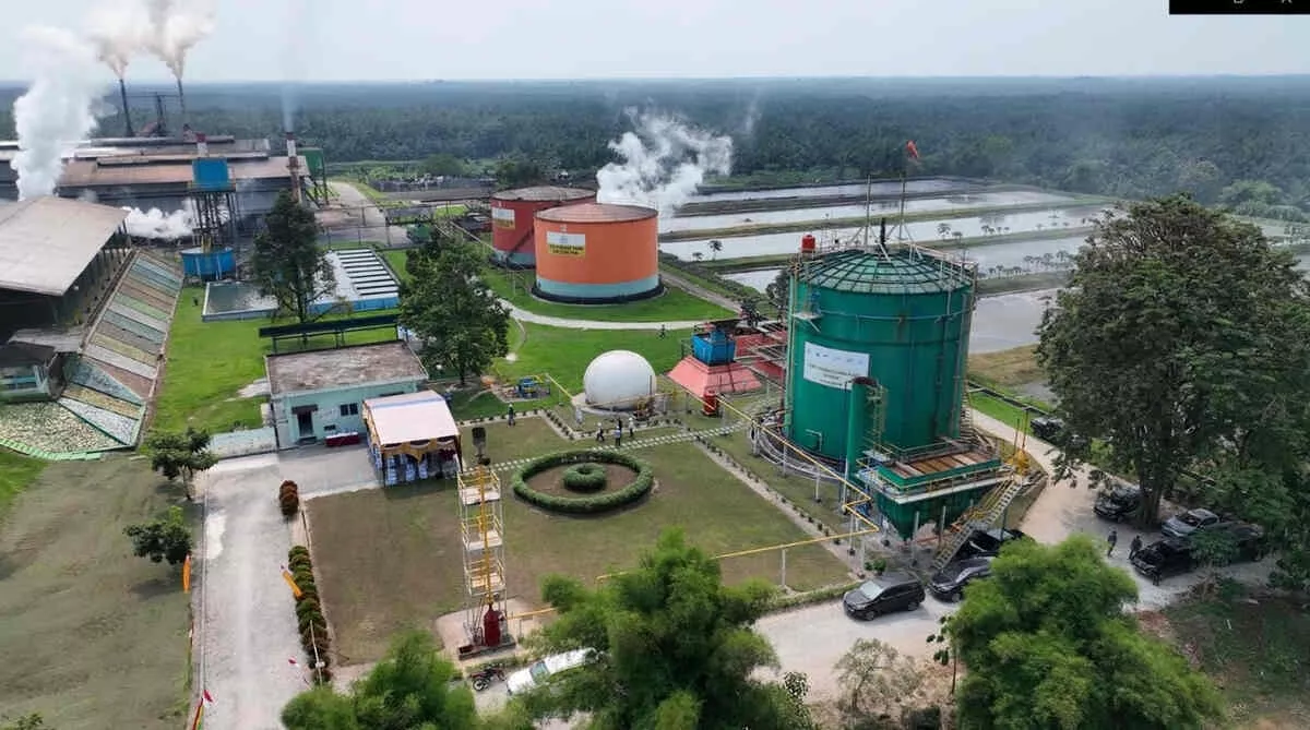 ROA PalmCo Tembus 7,9 Persen, Sinyal Penguatan Kinerja Aset Holding Perkebunan Nusantara