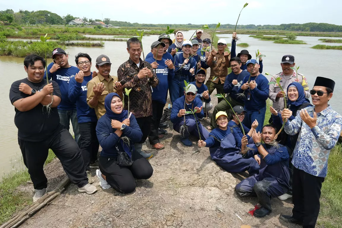 Perkuat Ketahanan Ekosistem Muara Beting, SUCOFINDO Tanam 5.000 Bibit Mangrove
