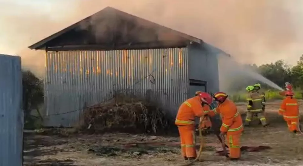 Geger.. Kelalaian Bakar Sampah Picu Kebakaran Gudang di Pelita Barat Sampit Jelang Magrib