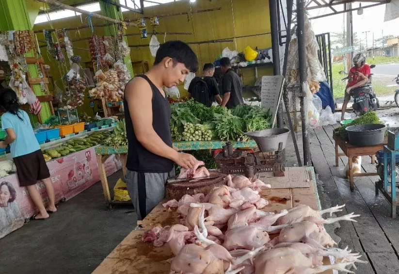 Pemko Klaim Stok Aman, Kenaikan Ayam Masih di Bawah 10 Persen