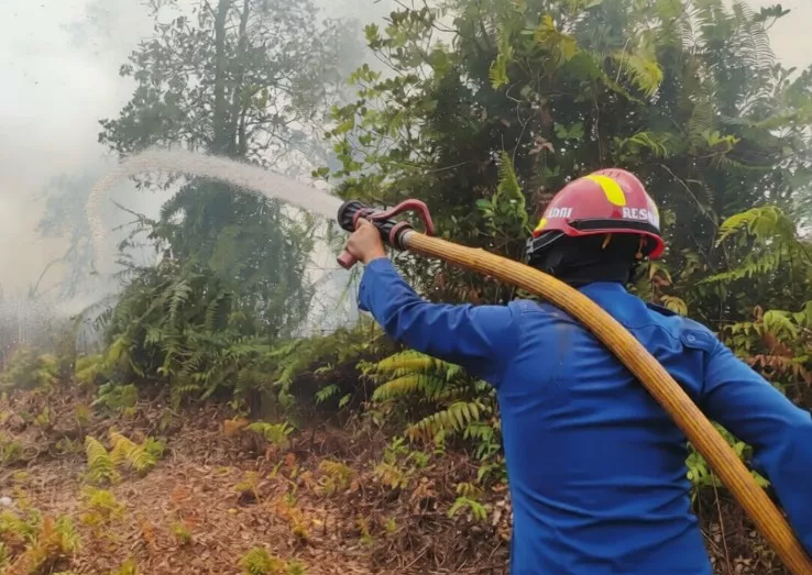 Kebakaran Lahan Kotawaringin Timur, Damkar Padamkan Api Dekat Permukiman