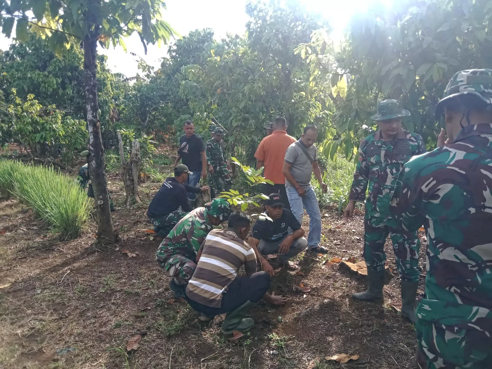 Dukung Ketahanan Pangan Berkelanjutan, Satgas TMMD Ke-129 Kodim 0102/Pidie Tanam Pohon Produktif Bersama Warga