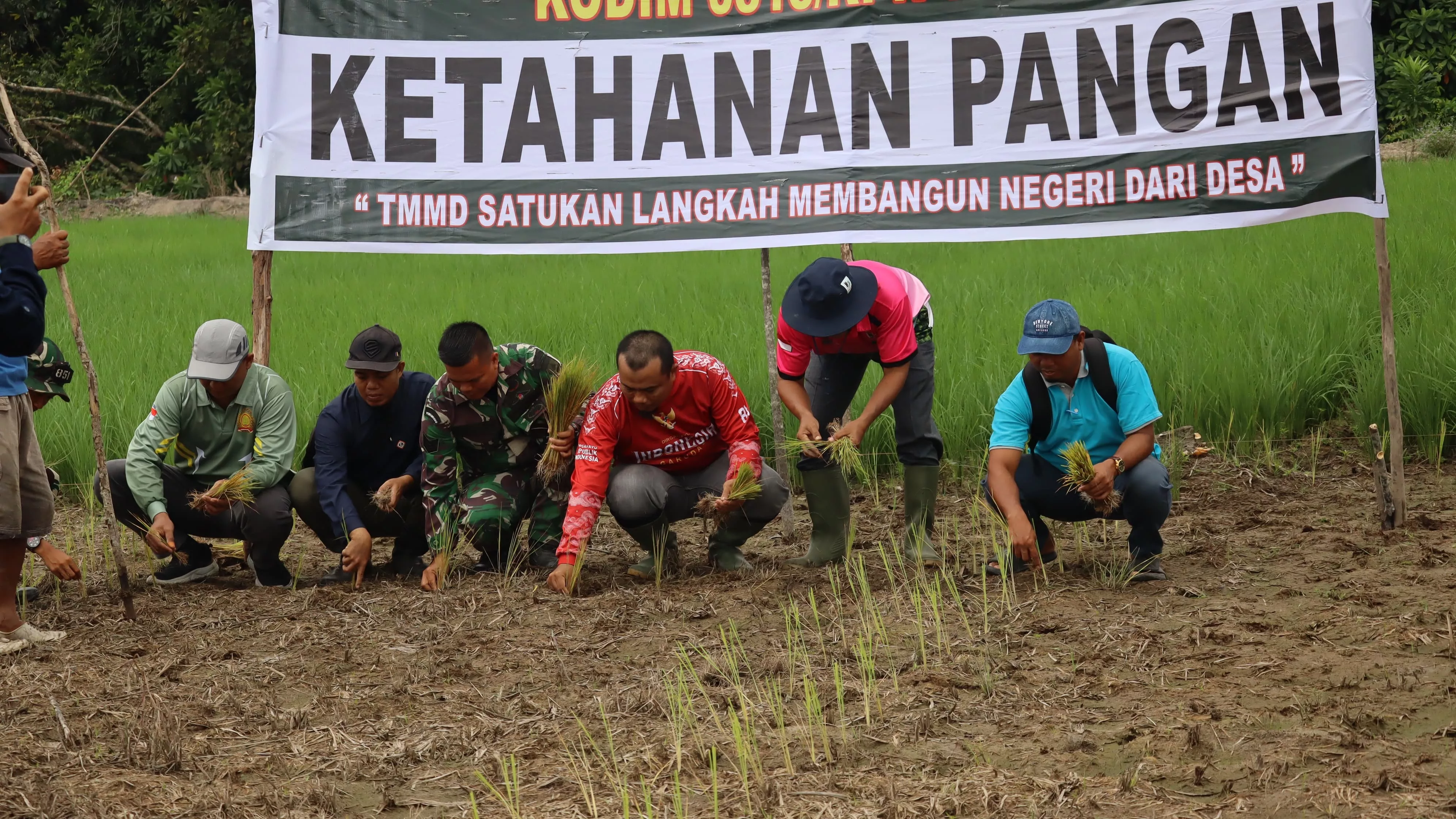 Perkuat Swasembada Pangan Pelosok Desa, Satgas TMMD Ke-129 Kodim 0313/KPR Turun Sawah Tanam Padi di Kuala Panduk