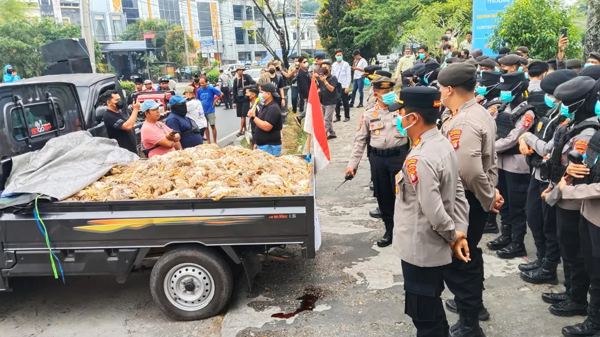 Protes Pemadaman Listrik Memuncak, Massa Tumpahkan Bangkai Ayam di Depan PLN Palangka Raya