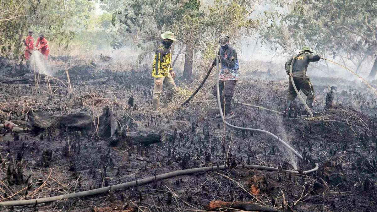 Puncak Kemarau Kalimantan Tengah September 2026: Kekeringan Mengintai, Waspada Karhutla!  