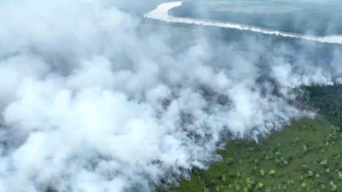 Kualitas Udara Palangka Raya Memasuki Kategori Tidak Sehat, PM2.5 Capai 138 µg/m³