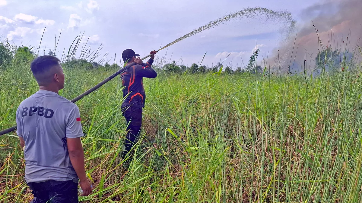 7  Titik Karhutla Terjadi di Palangka Raya, BPBD Catat Lahan Terdampak 1,36 Hektare