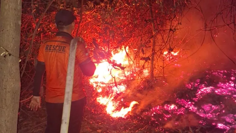 Lahan di Kujan Membara Lagi, Tim Gabungan Kembali Berjibaku Padamkan Karhutla