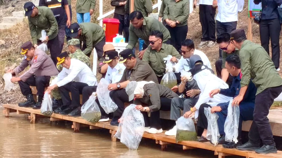 Restocking 76.000 Benih Ikan di Dam Trinsing: Harapan Ekonomi Baru di Barito Utara