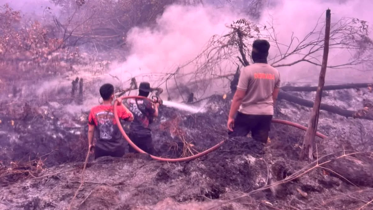 Polda Kalteng Tangani 43 Kasus Karhutla, 35 Orang Resmi Tersangka