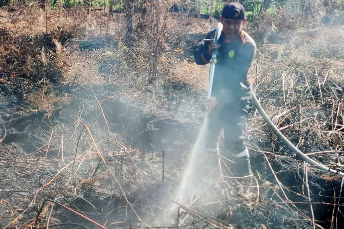 Karhutla Hanguskan 1,91 Hektare di Bukit Tunggal Palangka Raya