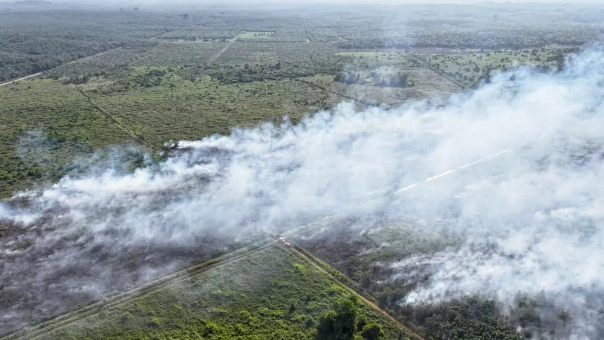 Kebakaran Lahan 10 Hektar Melanda Lamandau, Tim Pemadam Berjuang Jinakkan Api di Tengah Kesulitan Akses 