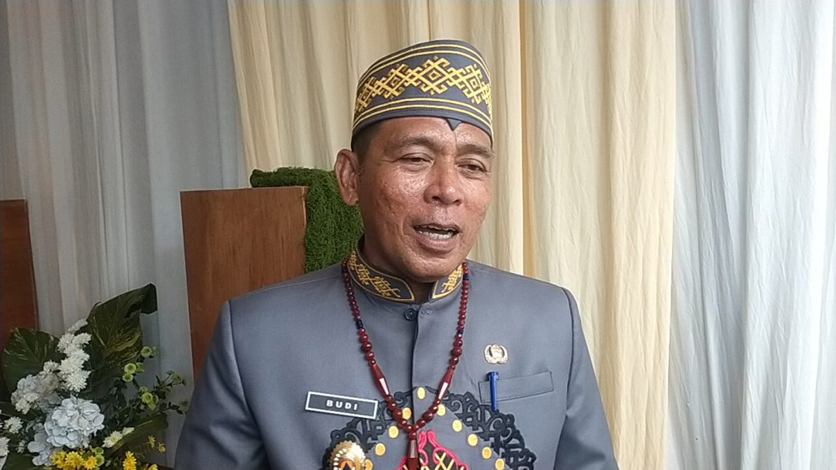 Hendrikus Satria Budi