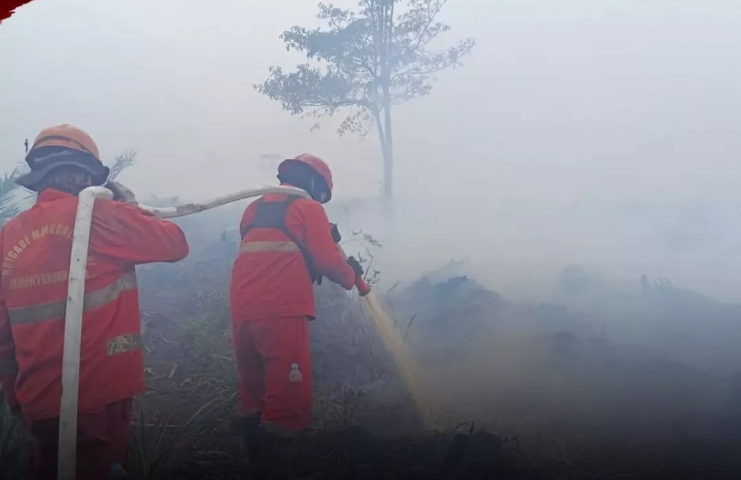 Ironi Karhutla Sumsel: Udara Berbahaya di Tengah Anggaran Ratusan Miliar