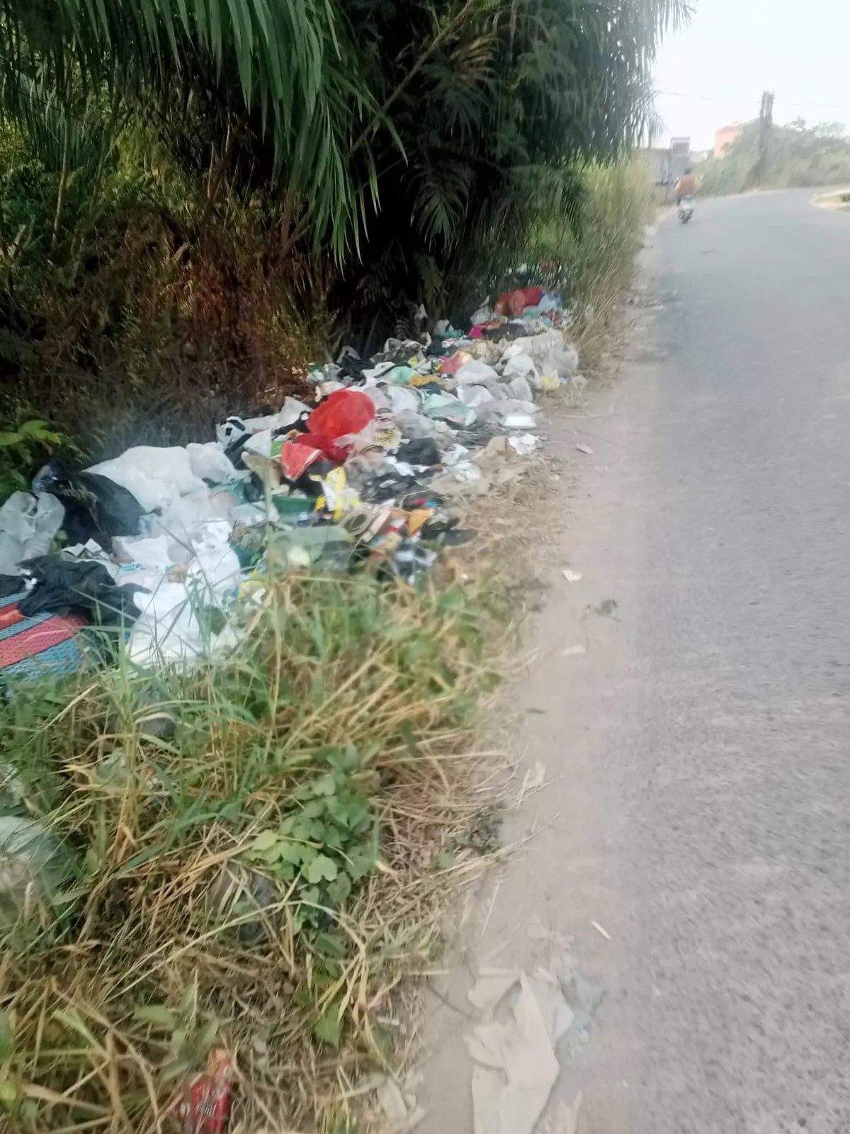 Warga Keluhkan Layanan Angkutan Sampah Talang Kelapa, Lebih Prioritaskan Perusahaan Daripada Masyarakat