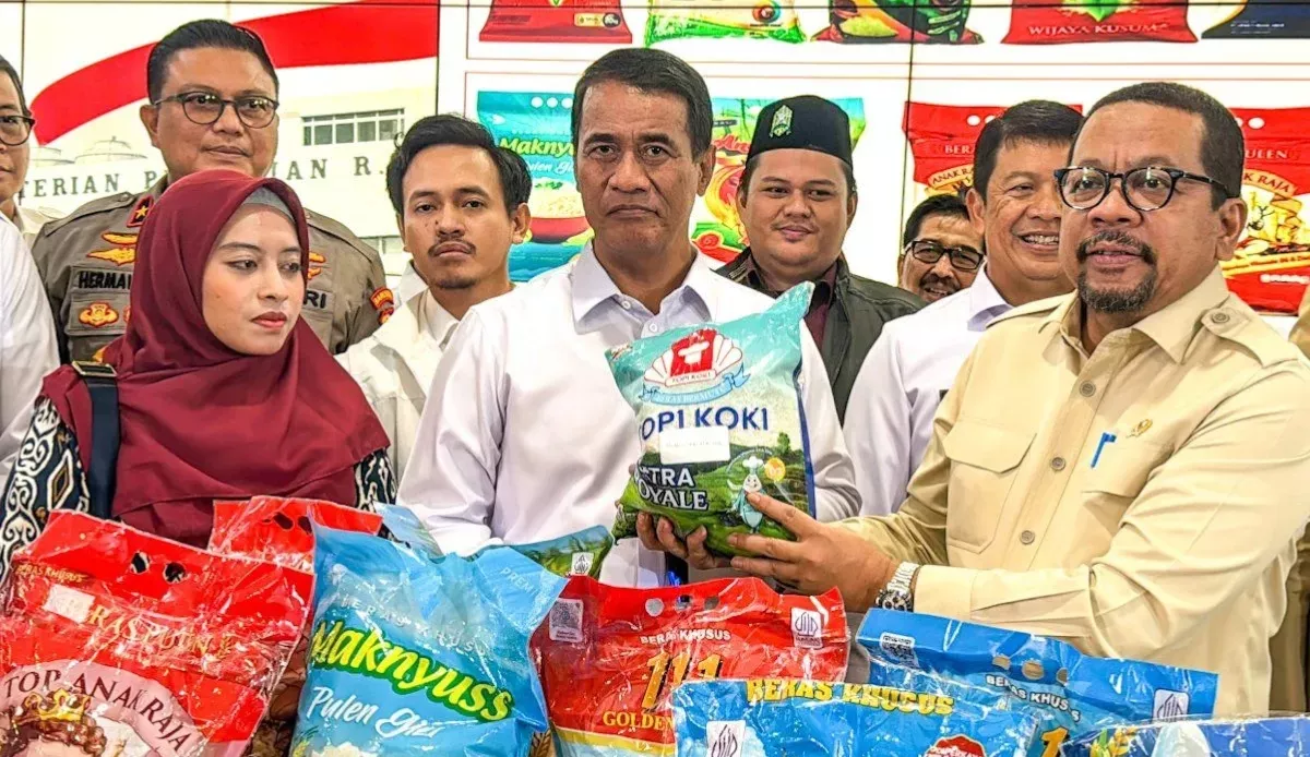 25 Merek Beras Fortifikasi Disebut Tak Sesuai Standar, Pemerintah Siapkan Penindakan