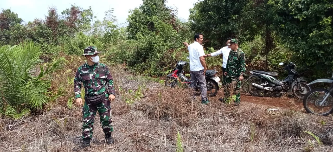 Tim Mabes TNI Cek Embung hingga Sekat Kanal Antisipasi Karhutla di Meranti