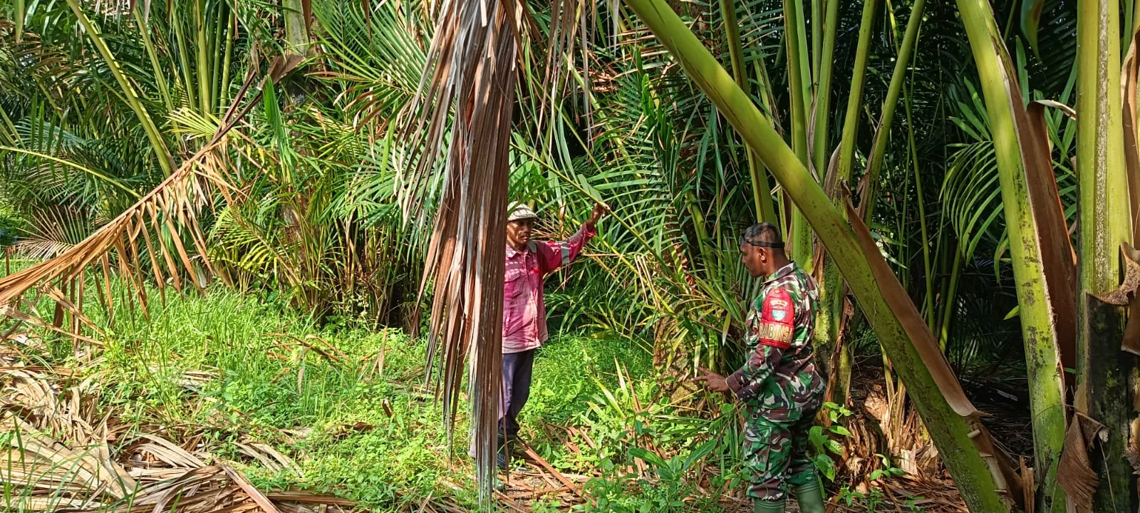 Babinsa Patroli Cegah Karhutla di Gambut Meranti, Cek Embung dan Kanal