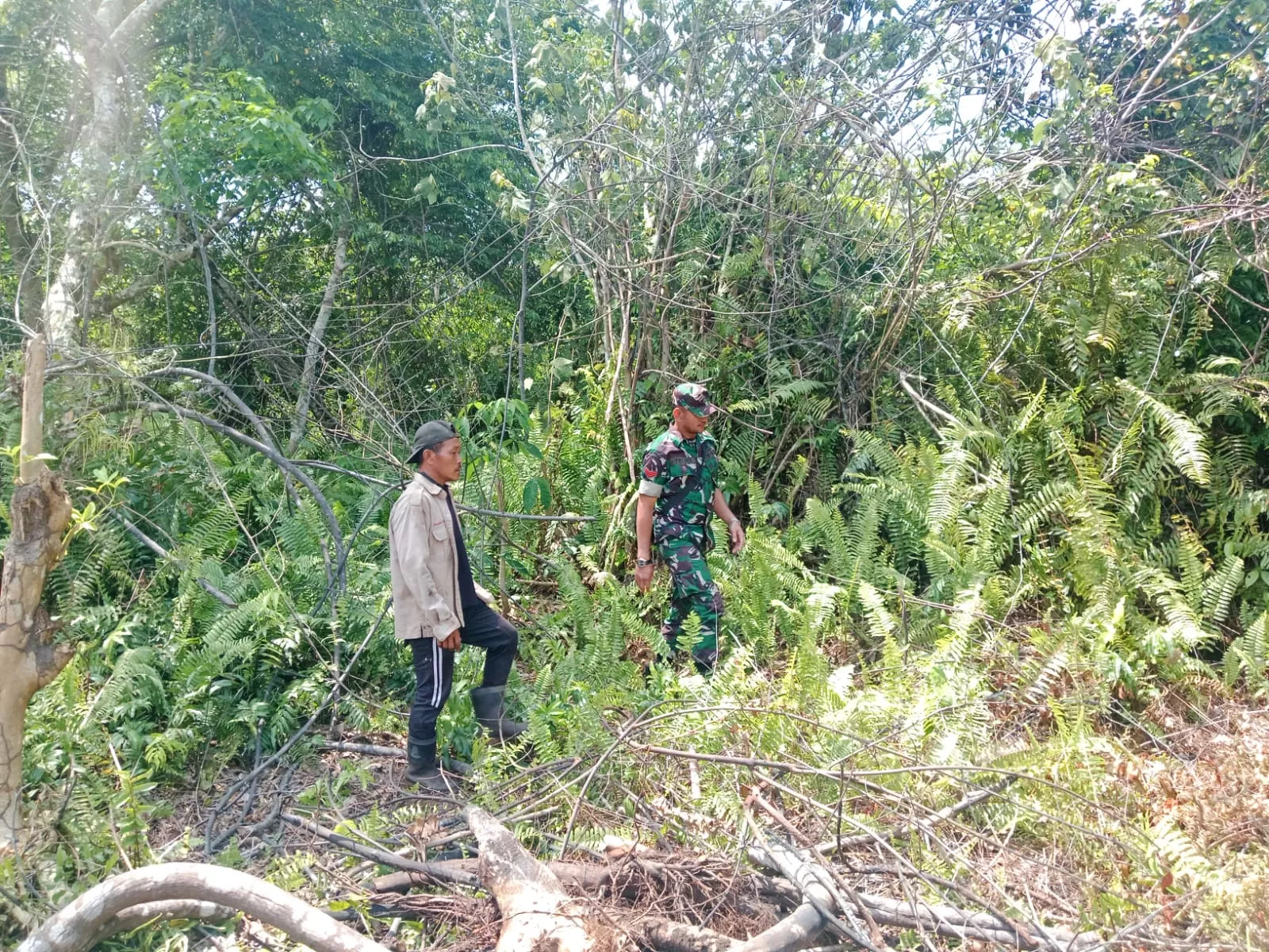 Koptu Yulius Pantau Lahan Kosong dan Gambut di Bagan Melibur, Tidak Ditemukan Asap