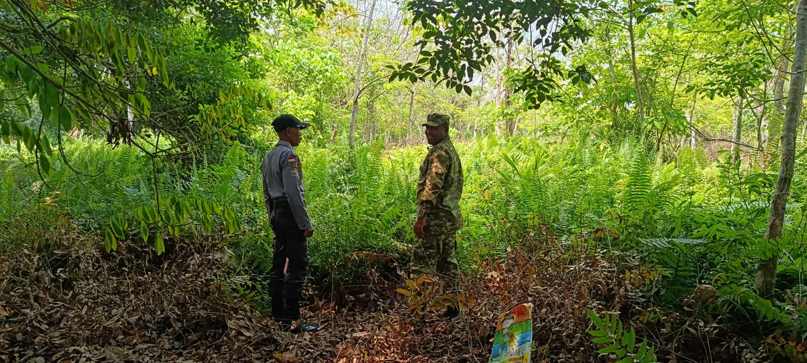 Gelar Pemantauan di Dusun 3 Mekar Sari, Babinsa Koramil 06/Merbau Edukasi Masyarakat Soal Bahaya Karhutla