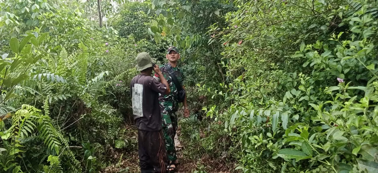 Babinsa Koramil 06/Merbau Patroli Karhutla di Lahan Gambut Desa Bagan Melibur