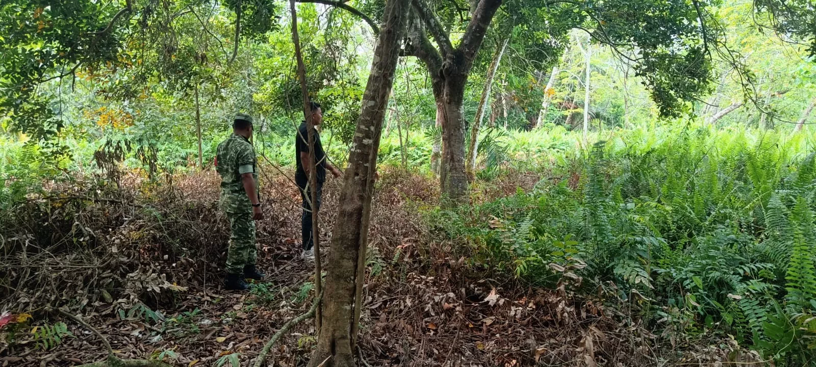 Cegah Karhutla Sejak Dini, Babinsa Koramil 06/Merbau Ingatkan Warga Desa Mekar Sari Tidak Buka Lahan Menggunakan Api