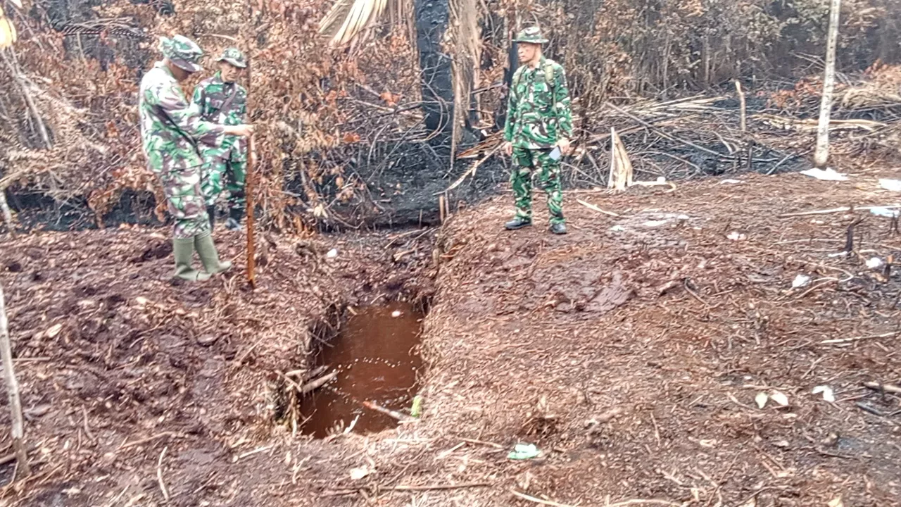 Pantau Bekas Karhutla Desa Sungai Anak Kamal, Kol Adm Dayatmoko Minta Pemantauan Tetap Berlanjut