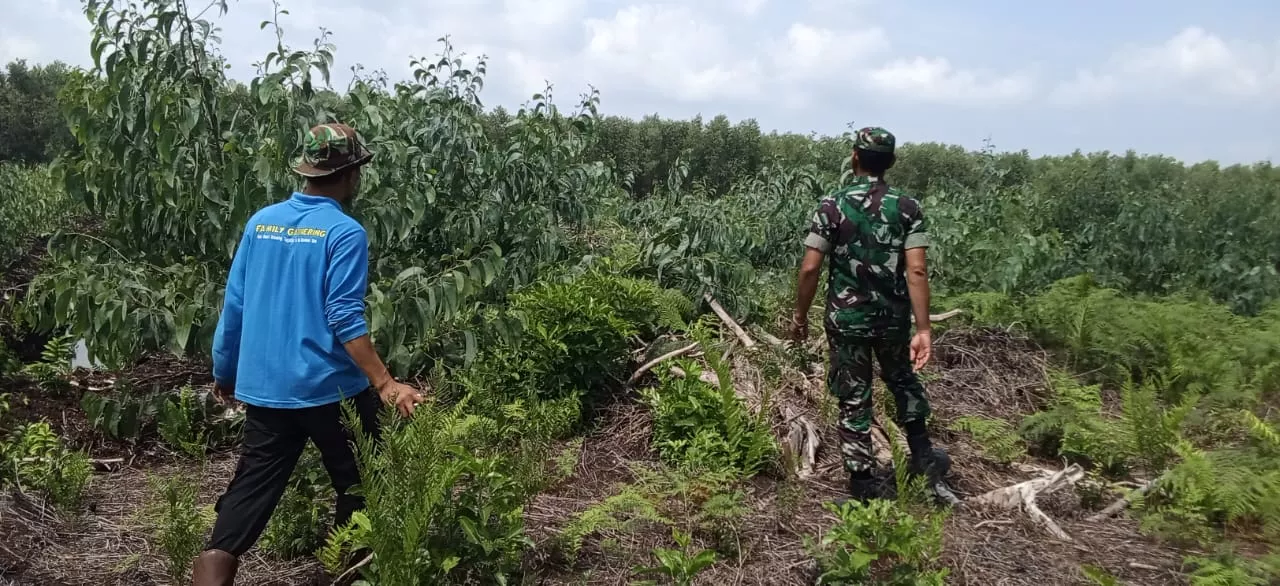 Babinsa Koramil Merbau Patroli Antisipasi Karhutla di Desa Pelantai