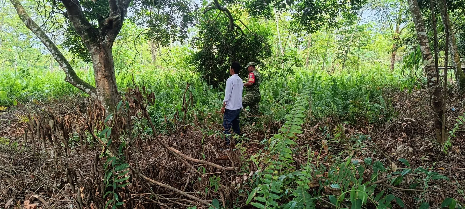 Antisipasi Karhutla di Tanah Gambut, Babinsa Koramil 06/Merbau Pantau Lahan Kosong Warga