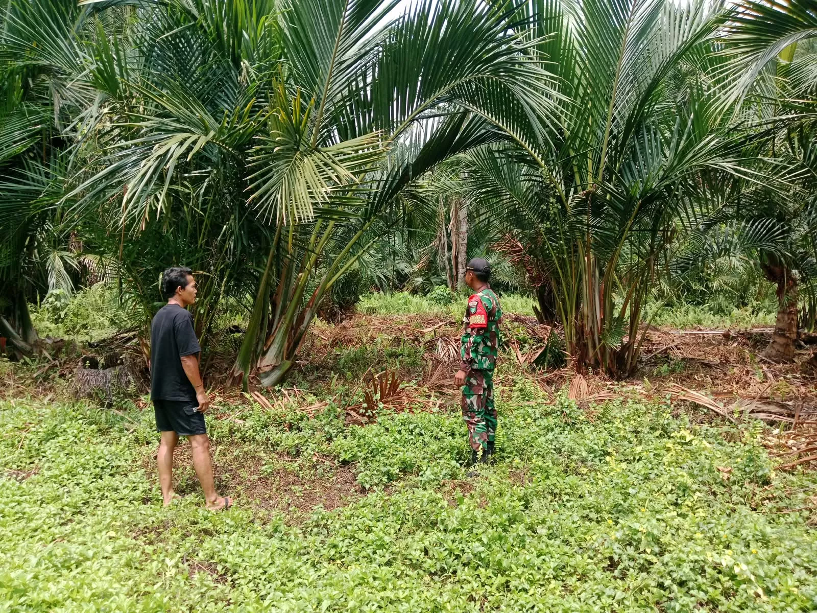Babinsa Patroli Karhutla di Lahan Gambut Mengkirau Meranti, Cek Embung dan Kanal