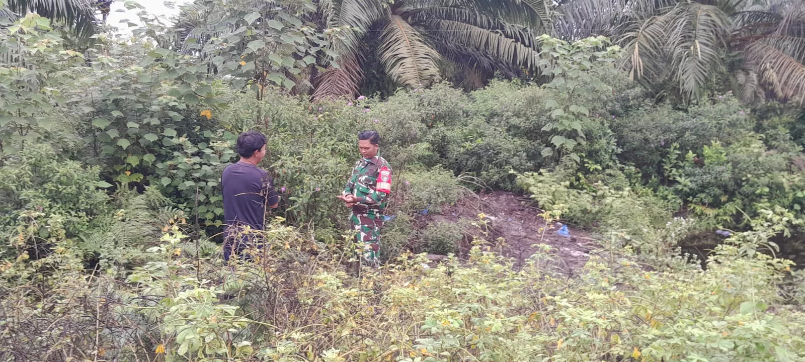 Babinsa Merbau Patroli Cegah Karhutla di Lahan Gambut Desa Bandul